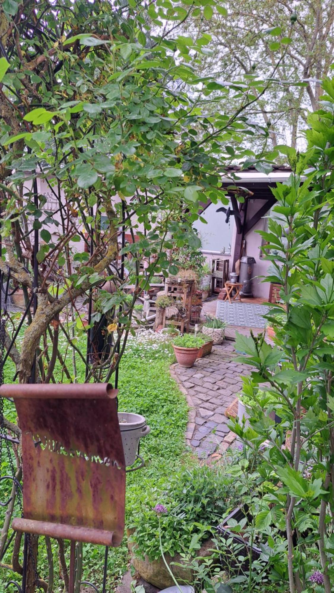 Ferienwohnung Vogt Mertloch Buitenkant foto
